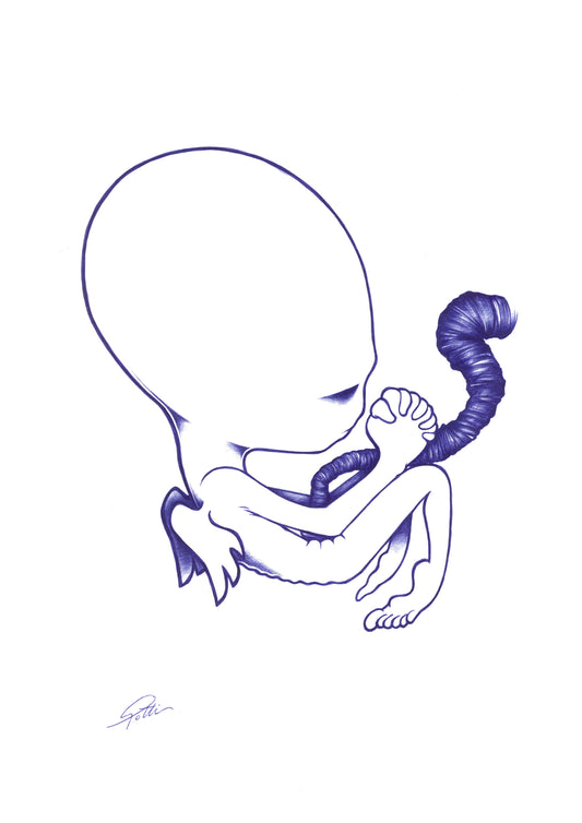 White with Blue ball pen